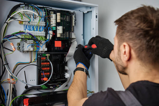 Licensed Electrical Panel Upgrade service in Carson City, MI - No Joke electrician